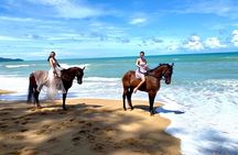 Beach Horse Riding Activity in Phuket