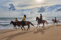 Beach Horse Riding Activity in Phuket