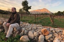 Sunset among Vineyards with Tasting in Alicante (min 6-12 people)