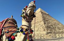  Tour to Pyramids and The Egyptian Museum