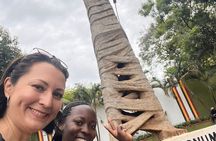 Day and Night City Tours in Kampala