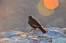 Private Tour to Moses Mount & St Catherine from Sharm El Sheikh
