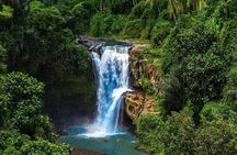 Ubud Tour: Monkey Forest, Jungle Swing, Temples & Waterfalls