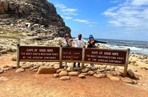  Private Tour: Table Mountain Boulder's Beach Penguin Cape Point 