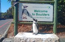  Private Tour: Table Mountain Boulder's Beach Penguin Cape Point 