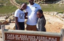  Private Tour: Table Mountain Boulder's Beach Penguin Cape Point 