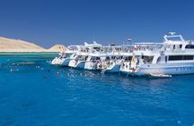 Ras Mohamed & White Island Snorkeling or Scuba Diving trip