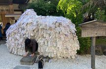 Kyoto Private magical Tour with a local guide