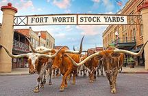 Fort Worth Highlights & Southfork Ranch Combo Tour