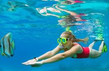 Boatride & Snorkeling then Margaritaville Hipstrip Activity 