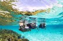 Boatride & Snorkeling then Margaritaville Hipstrip Activity 