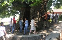 Kakheti Private: Wine, History, and City of Love