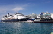  Private Tour to Ephesus, Virgin Mary, and Artemis Temple From Cruise Ship/Hotel