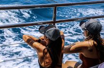 Unique sailing experience to Aegina-Metopi and Skala