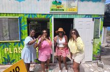 St.Lucia Private Island Tour