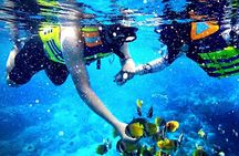 Snorkeling at Blue Lagoon & Tanjung Jepun All Inclusive
