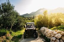 Buggy Dubrovnik Safari Tour (Private)