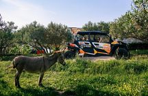 Buggy Dubrovnik Safari Tour (Private)