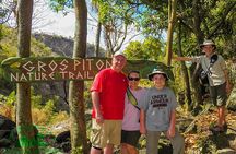 Gros Piton Nature Trail Private Hike