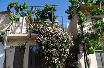 Private Guided Tour to Lasithi Plateau Villages & Olive Oil Mill 