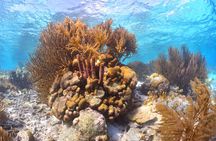 100% Private Charter Snorkel, Sail, Relax (Cruisers Friendly) 