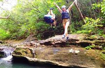 Iriomote Island 1 Day Canyoning & Yubu Island Sightseeing