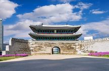 Layover & Stopover in Seoul/private Tour