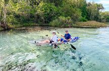 Rainbow Springs: Clear Kayak & Snorkel Eco Tour