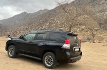 Full Day Private Jeep Tour to Elsen Tasarkhai, Semi-Gobi