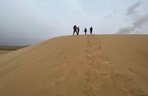 Full Day Private Jeep Tour to Elsen Tasarkhai, Semi-Gobi