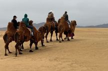 Full Day Private Jeep Tour to Elsen Tasarkhai, Semi-Gobi