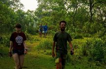 Experience the Thrill of the Wild: Chitwan Jungle Safari( 2N3D)