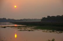 Experience the Thrill of the Wild: Chitwan Jungle Safari( 2N3D)