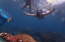 Private Snorkeling Tour at Pigeon Island Trincomalee