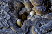 Hung Thoong Exploration 3 days 2 nights
