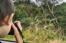 Full-Day Family Hluhluwe iMfolozi Park Safari Experience 
