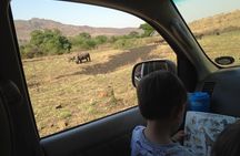 Full-Day Family Hluhluwe iMfolozi Park Safari Experience 