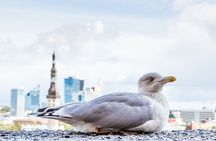 Private Custom Walking Tour with Local Guide in Tallinn