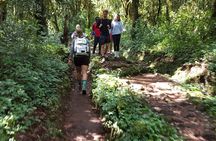 7-Day Mountain Climbing in Machame Route 