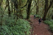 7-Day Mountain Climbing in Machame Route 