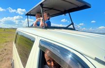 Safari In Nairobi Kenya National Park Half day Tour