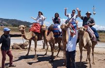 Tangier Tour Visit Caves, Kasbah, Medina & Berber Markets 