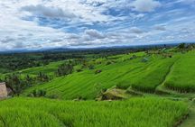 Bali Highland Day Tour