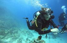 Intro Diving at Ras Mohamed and White Island in Sharm El Sheikh