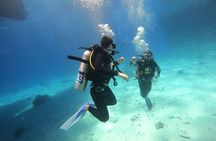 Intro Diving at Ras Mohamed and White Island in Sharm El Sheikh
