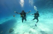 Intro Diving at Ras Mohamed and White Island in Sharm El Sheikh