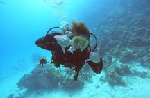 Intro Diving at Ras Mohamed and White Island in Sharm El Sheikh