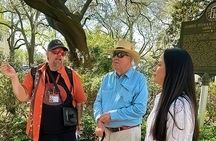 Behind the Plaques - 2 Hour Historical Walking Tour in Savannah