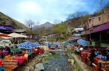 Excursion to the Ourika Valley and Berber villages 