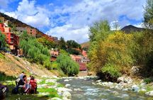 Excursion to the Ourika Valley and Berber villages 
